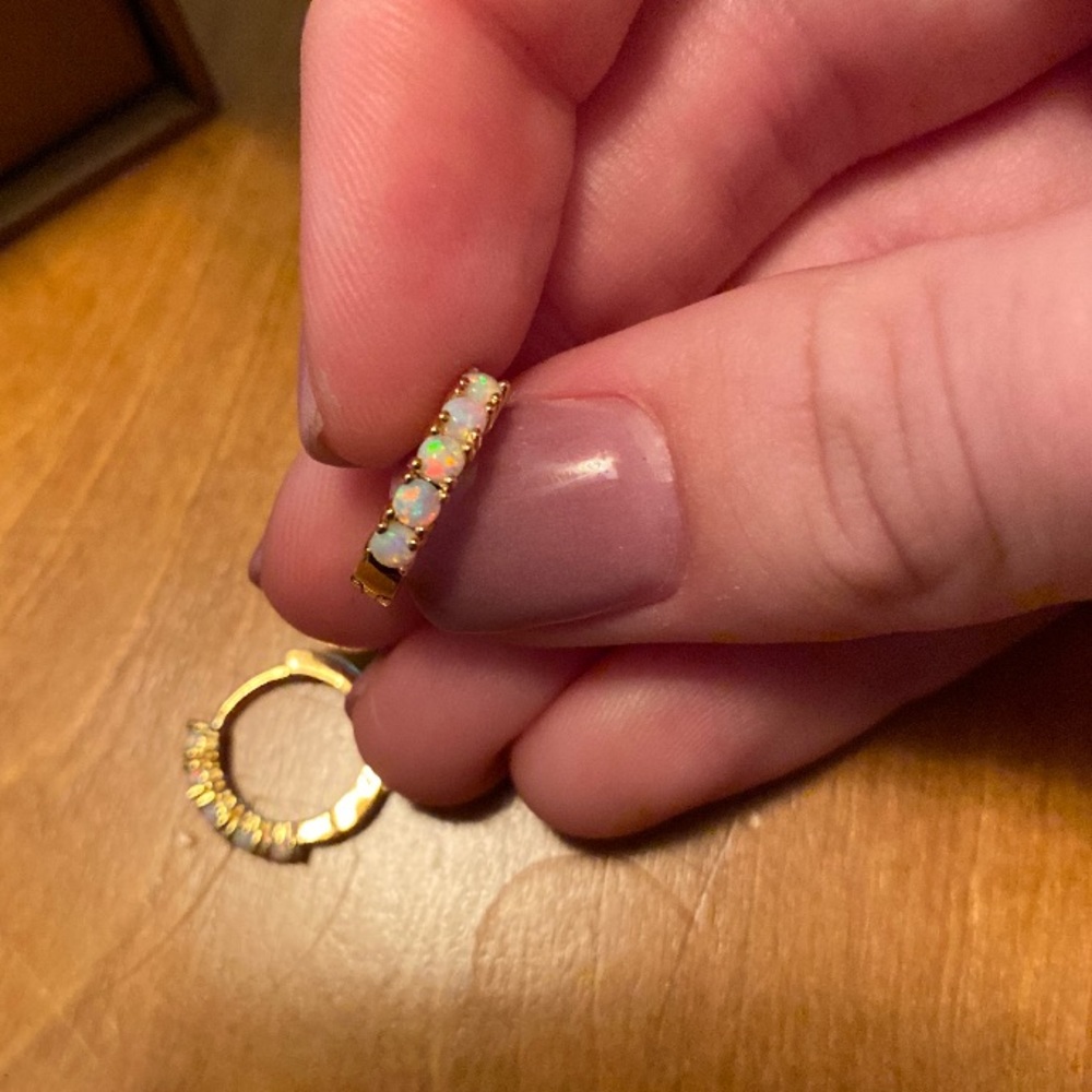 Danielle Jonas Hoop earrings